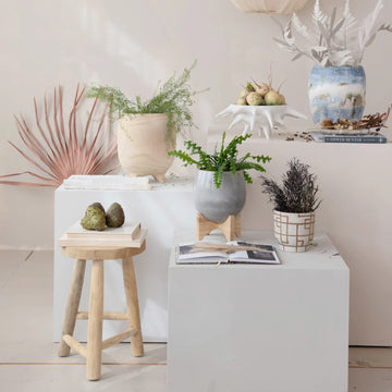 Bleached Teak Stool